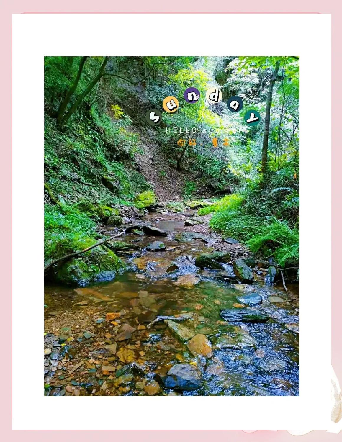 包含山野采蘑菇徒步,与大自然亲密接触的词条 包含山野采蘑菇徒步,与大自然亲密接触的词条