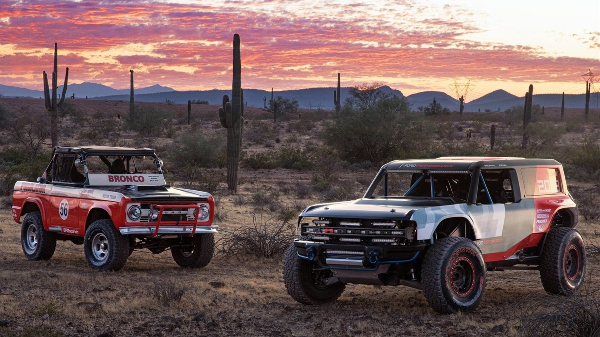 _费德勒退役仪式隆重举行,告别网球生涯_,费德勒退役没