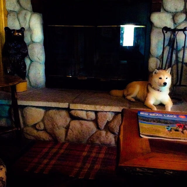 “攻势如潮,比分持续飙升!谁能守住领先优势?”,即时比分查询