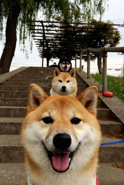 传奇对决：国家队勇夺冠军杯，传奇对决国服v5下载手游体验服