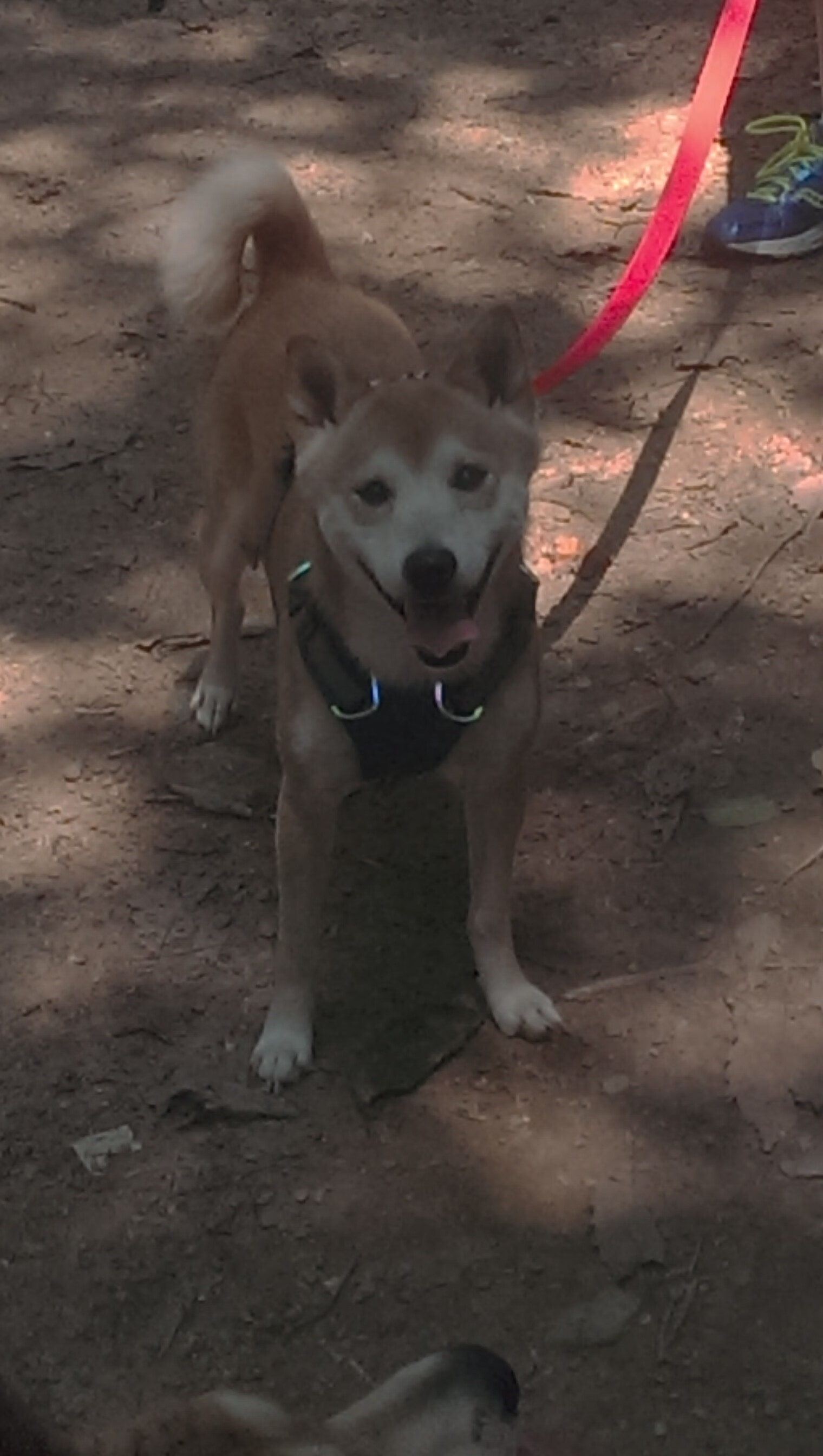 勇士激战快船第七场!,勇士快船g5全场回放