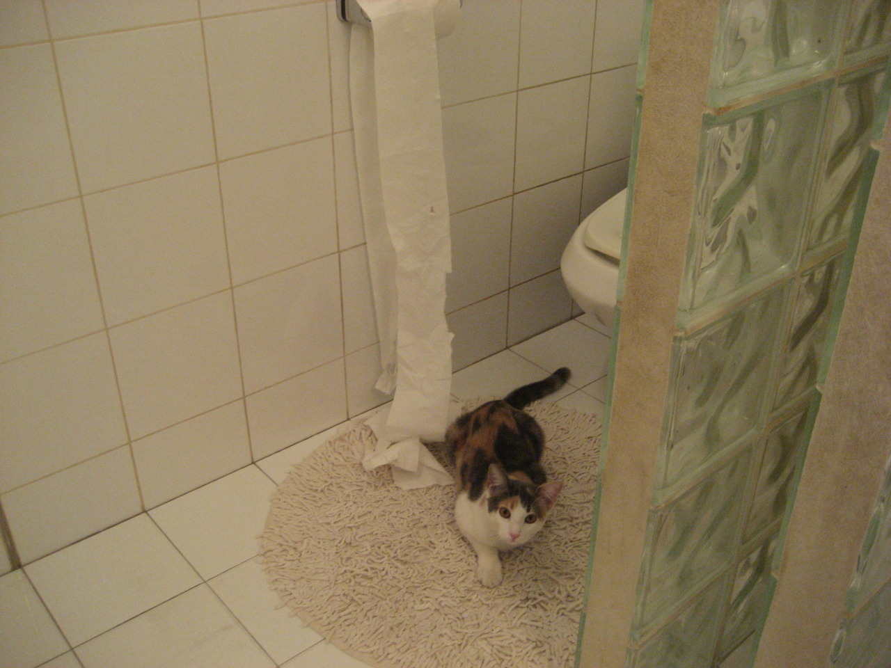 球队管理层未来布局,年轻化成为关键词,球队管理细则