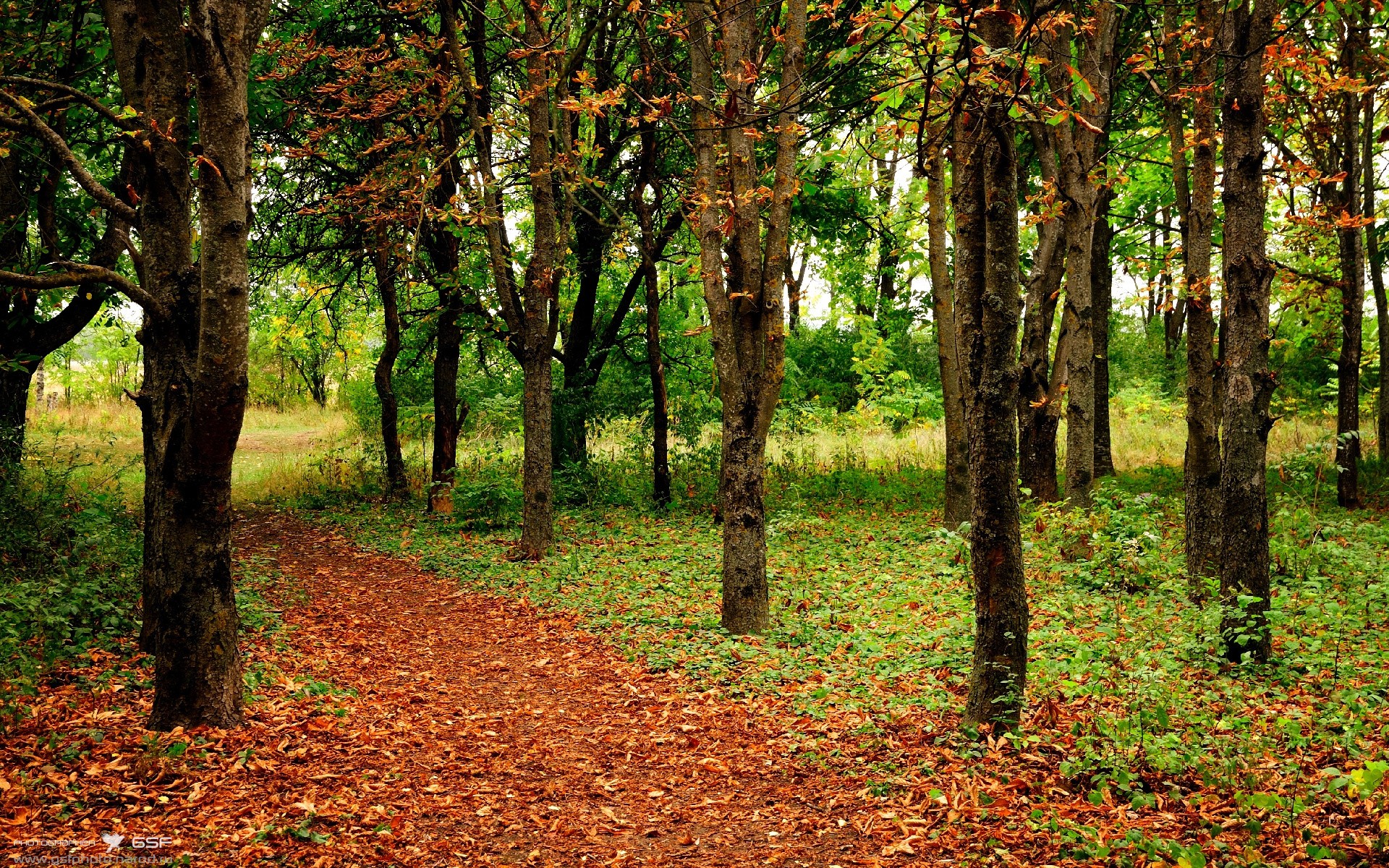 体育球员赛后接受采访分享感受，体育球员赛后接受采访分享感受怎么写
