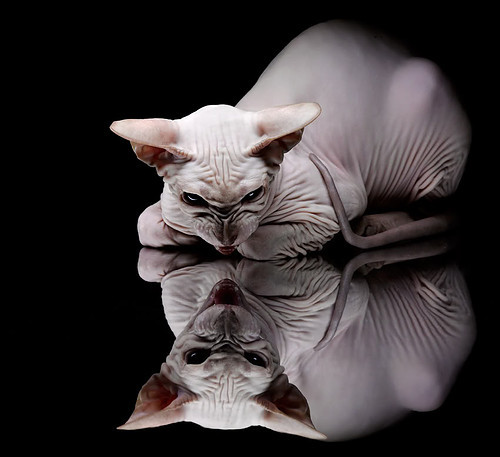 利物浦-热刺，客场遭受失利，争夺领跑权利暂时落空，利物浦热刺首发名单