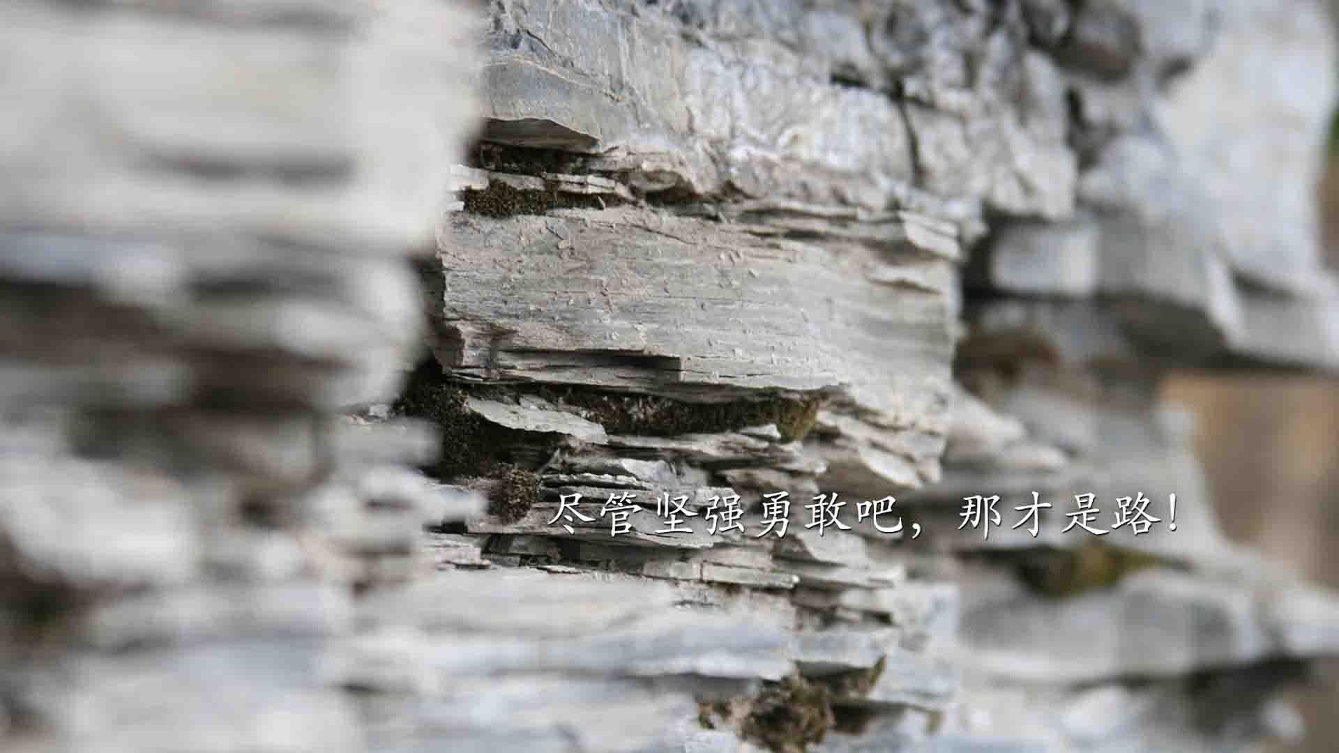 最新游泳选手体能对比报告，游泳冠军体能不达标