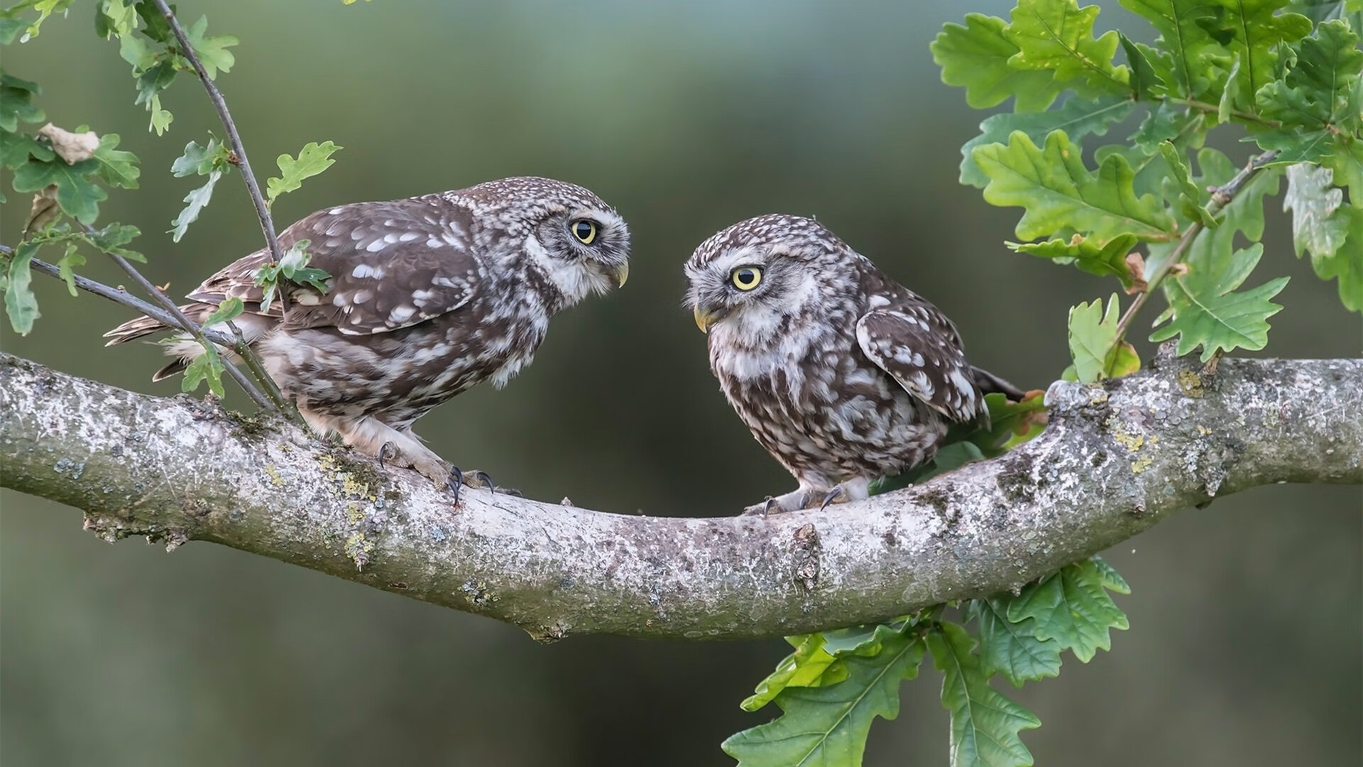 中国足球年度高强度对抗回合汇总，中国足球队胜负