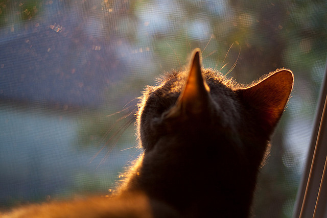中超各俱乐部场地适应性数据汇总,中超足球场地