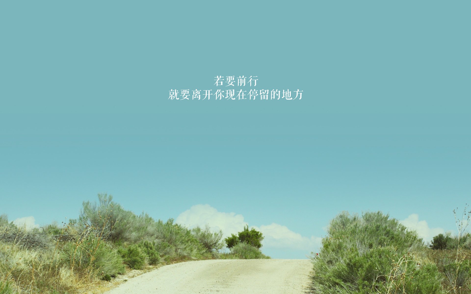 篮球专项技能动作的动作学分析与训练改进，篮球的专项技术动作