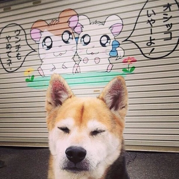 中国女篮反击效率成为比赛制胜关键，中国女篮打赢了吗