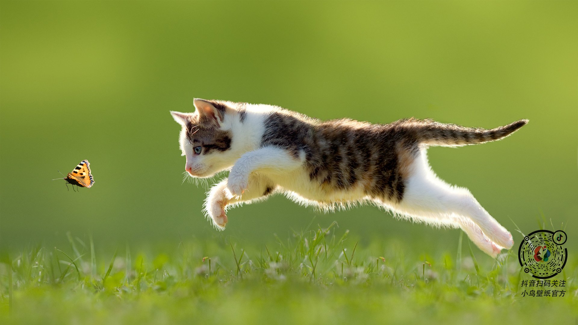 中国女篮球员谈心路历程励志故事感染万千观众，中国女篮事迹