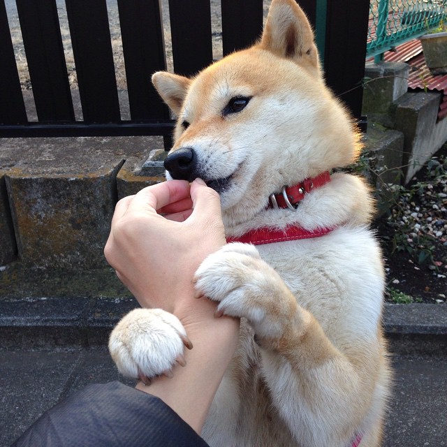 后场回传数据是否反映球队进攻主动性程度，举例说明球回后场的依据