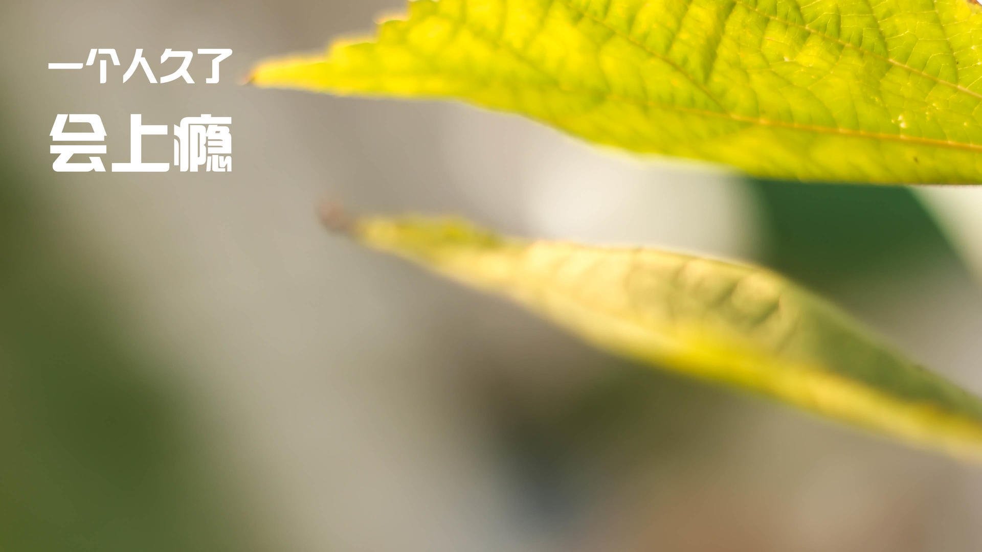 塔图姆谈助攻和分球是进攻启动点，塔图姆进攻集锦