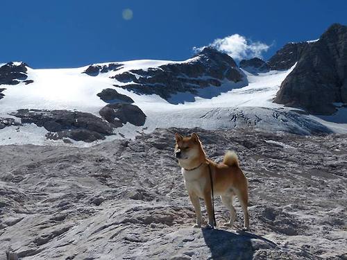 巴勒斯坦男篮在西亚预赛中迎难而上,梦想晋级