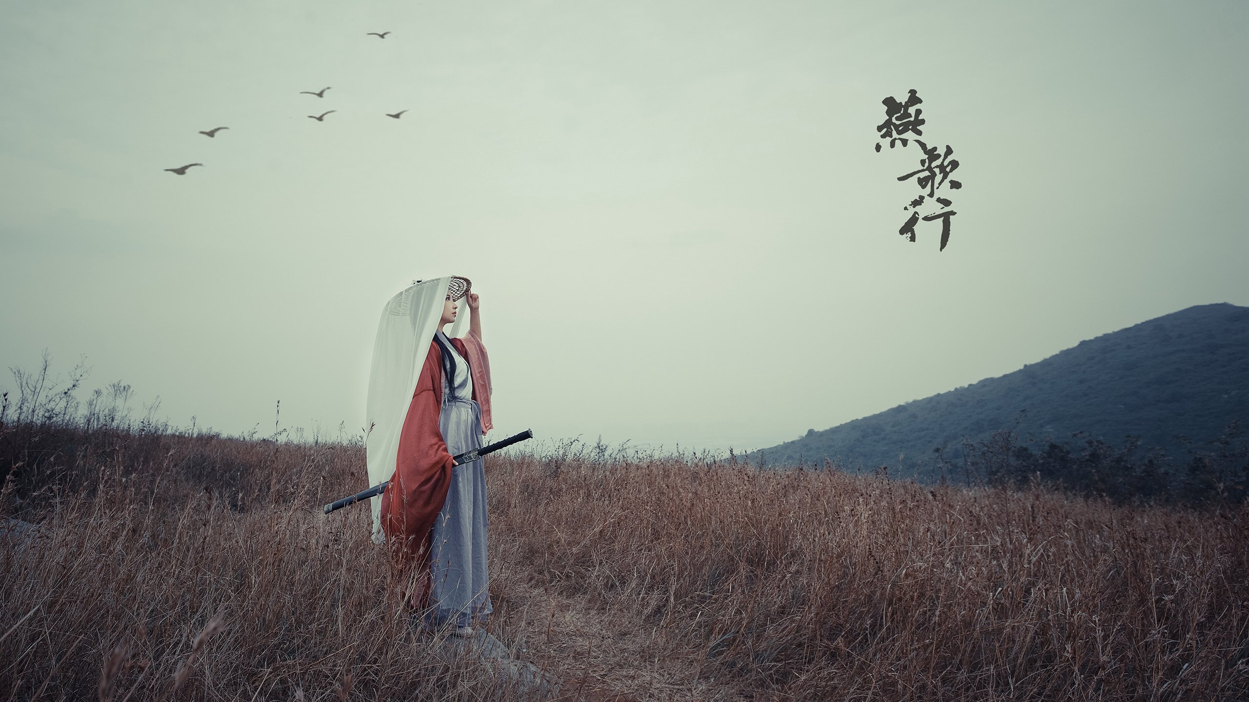 法甲新星崛起:未来之路无限广阔!,法甲新赛季