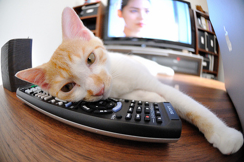 法甲经典战役：攻守博弈精彩纷呈，法甲阵营