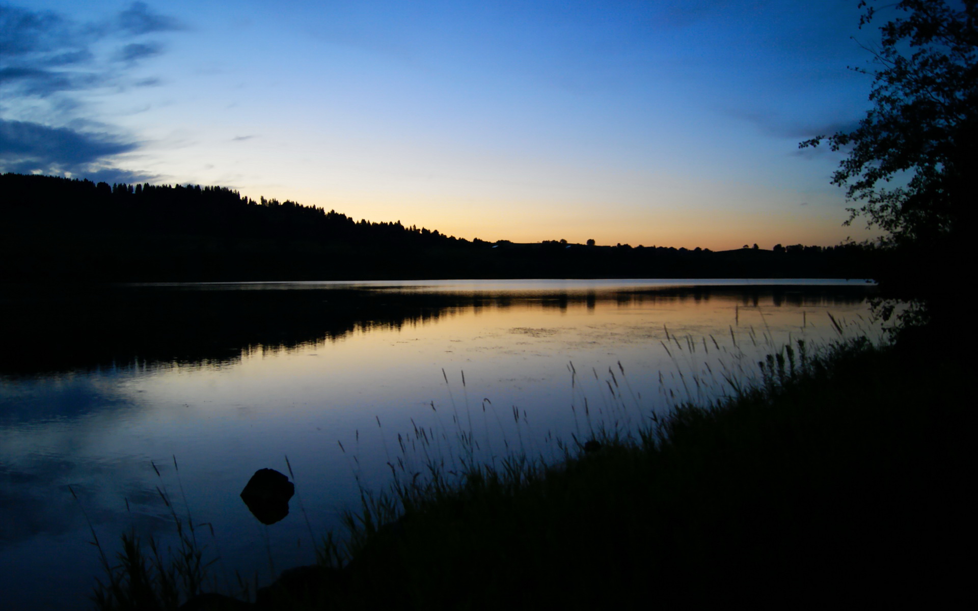 谷爱凌滑雪大片展现力与美结合，滑雪冠军谷爱凌是中国人吗