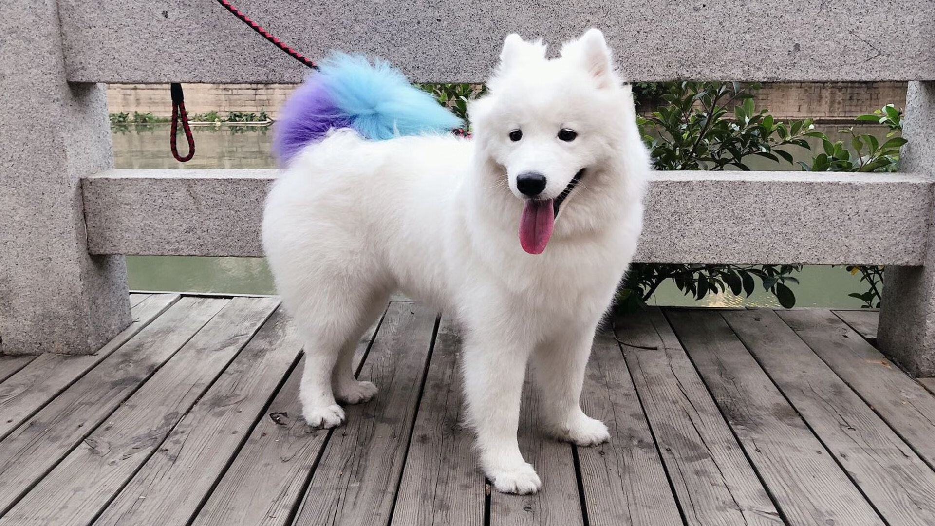 足球学校新建成开放日吸引家长参观,足球学校招生方案