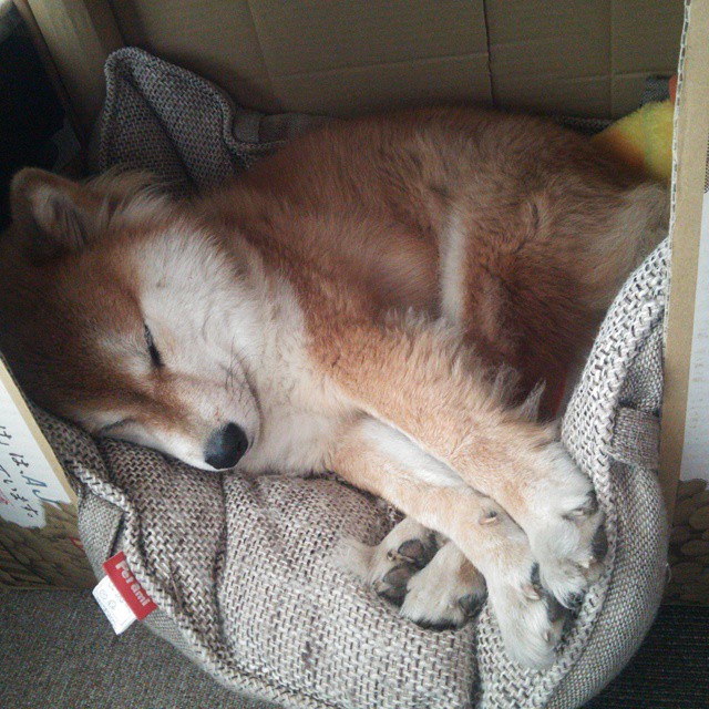 边路快马持续爆发成为进攻体系中的关键支点，边路进攻的战术配合基本方法