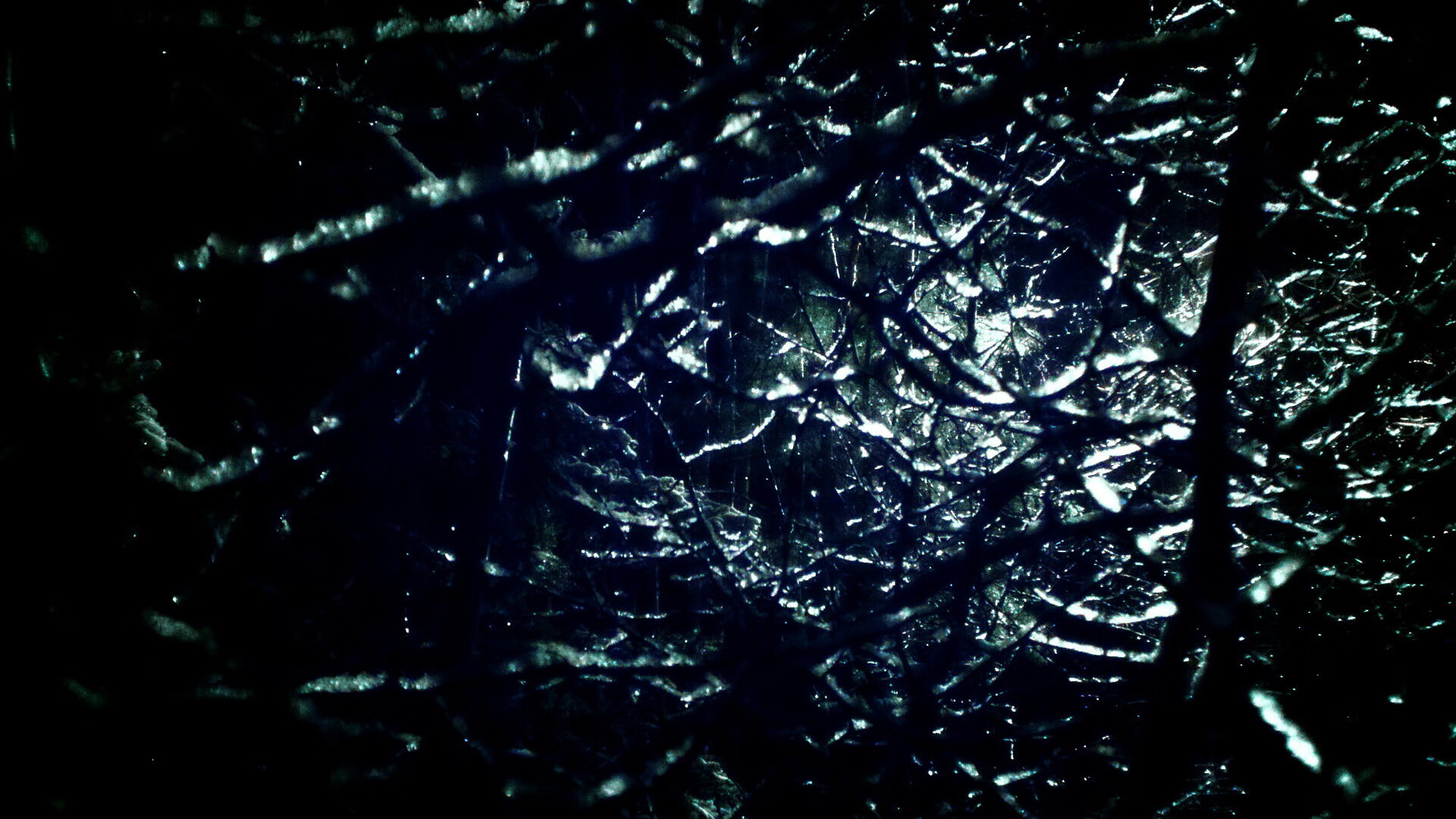 里根·史密斯女子50米仰泳决赛夺冠瞬间,雷根史密斯200米仰泳